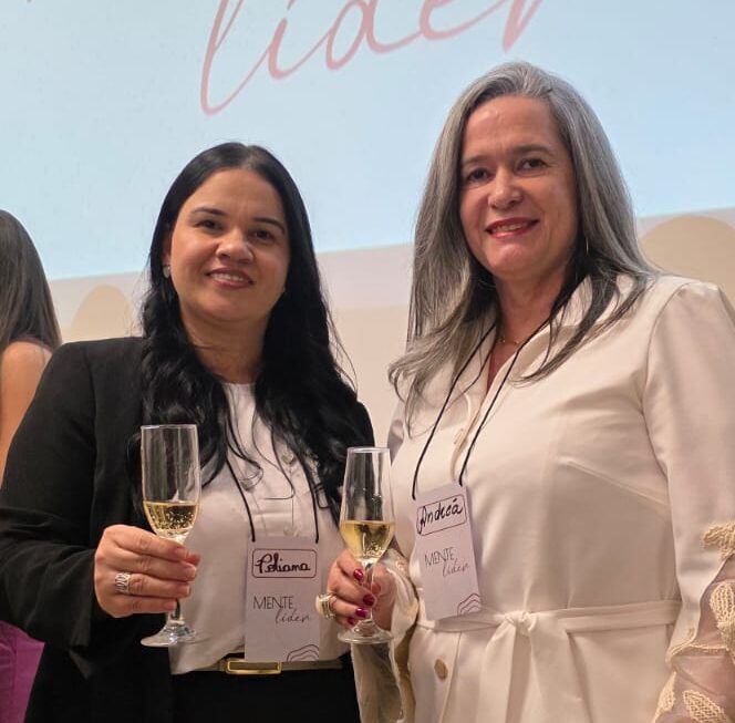 identidade de marca, branding, marcas em goiania